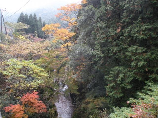 Autumn leaves of Hiratani Gorge