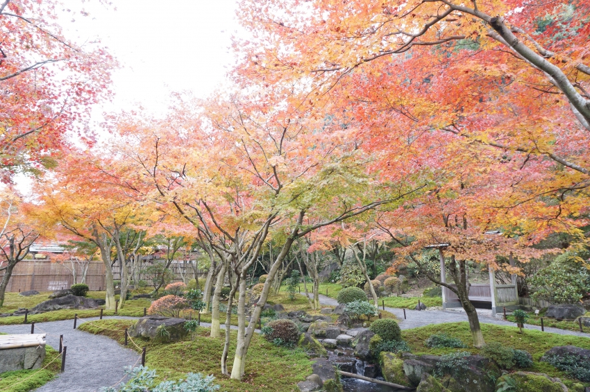 日本庭園